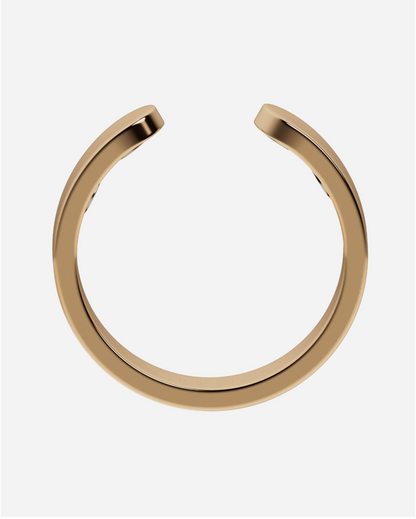 Pierścień magnetyczny Aurelia 2.0